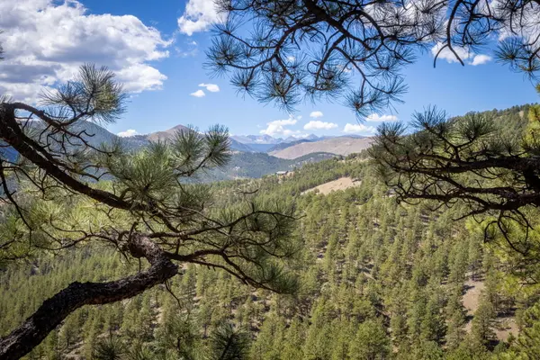3367 Sunshine Canyon DR, Boulder, CO 80302