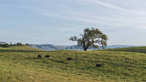 35 Wellsona RD, Paso Robles, CA 93446