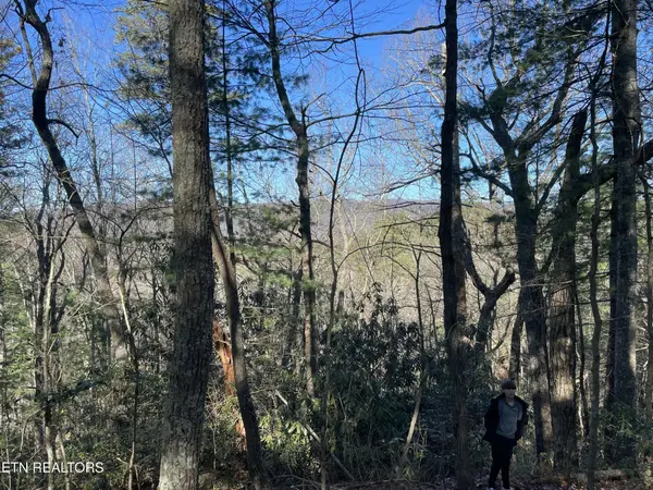 0 Walnut Flats Rd, Walland, TN 37886