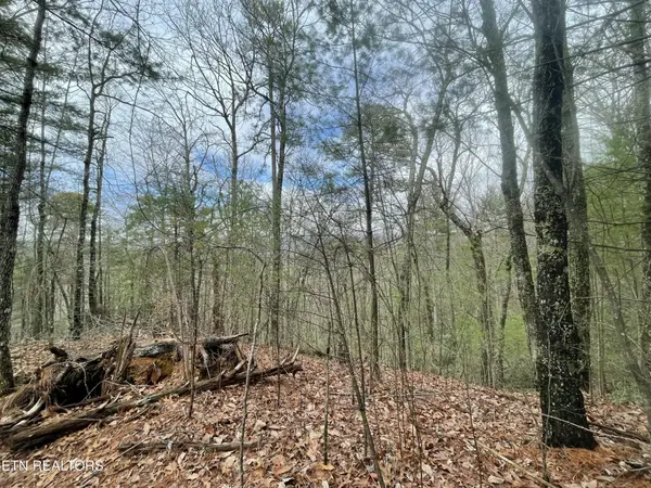 0 Walnut Flats Rd, Walland, TN 37886