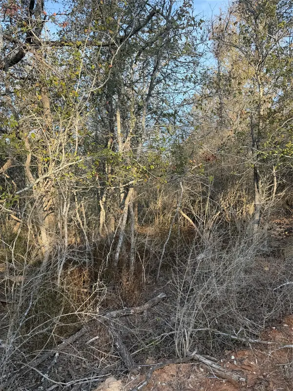 156 and 160 Helemano DR, Bastrop, TX 78602