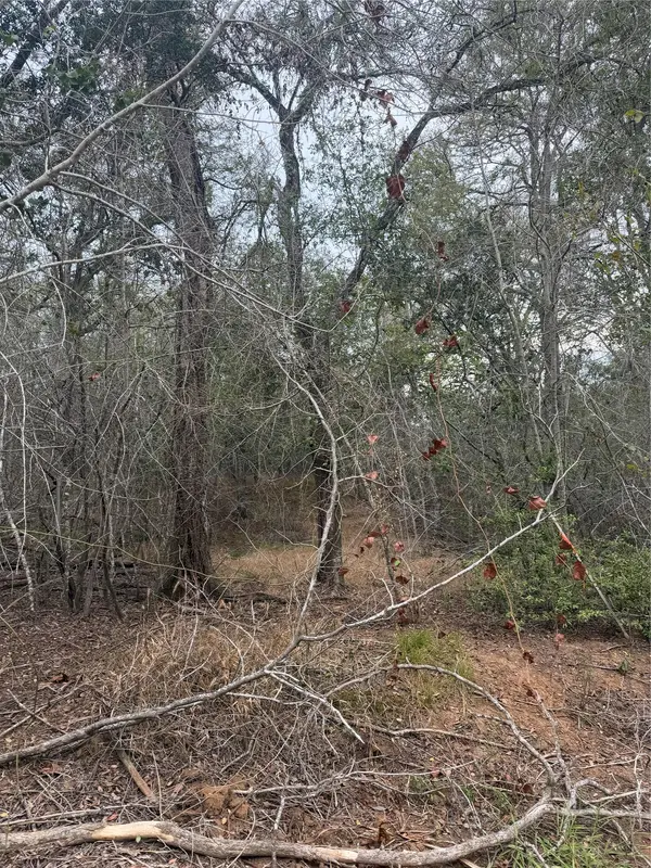 Lots 565 and 566 Mokulua LN, Bastrop, TX 78602