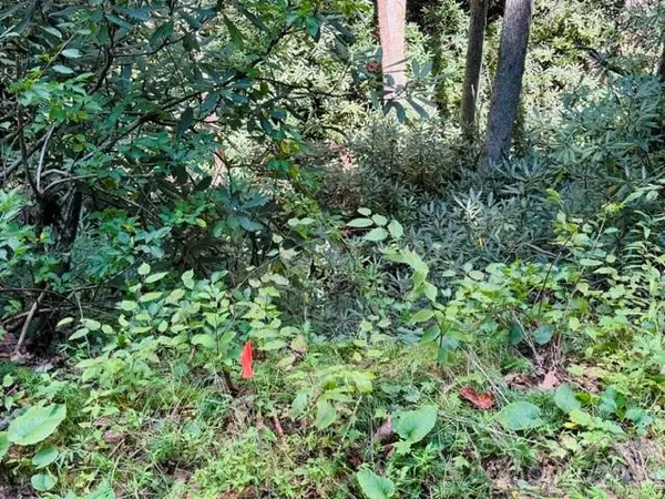 TBD Jarvis DR, Hendersonville, NC 28792