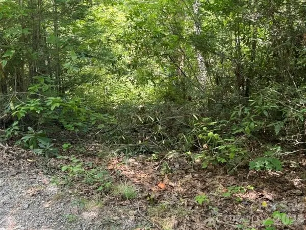 TBD Jarvis DR, Hendersonville, NC 28792