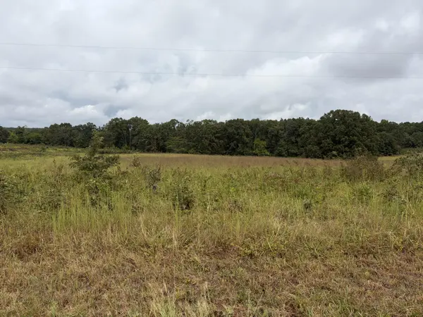 22833 Missouri 19, Alton, MO 65606
