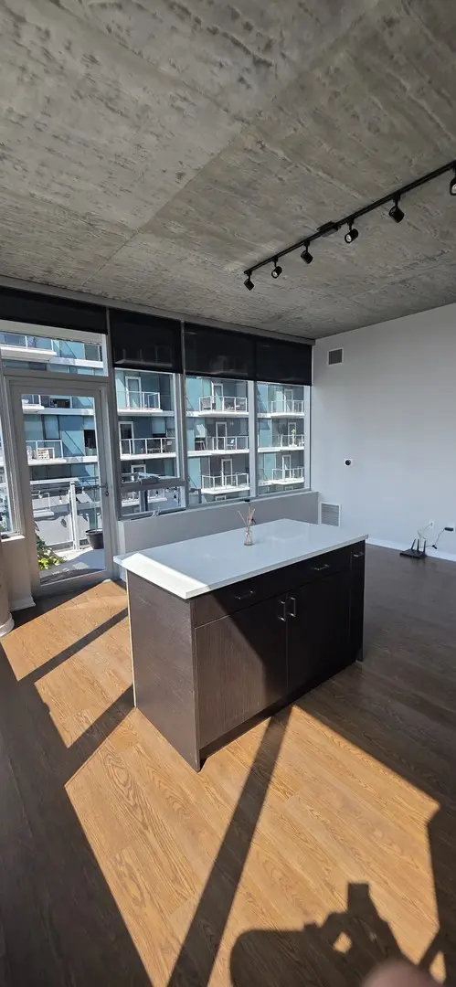 1345 S Wabash AVE #703, Chicago, IL 60605