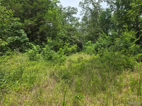 282 Ripley 142E-28A, Oxly, MO 63955