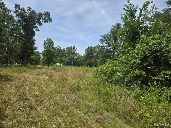 282 Ripley 142E-28A, Oxly, MO 63955