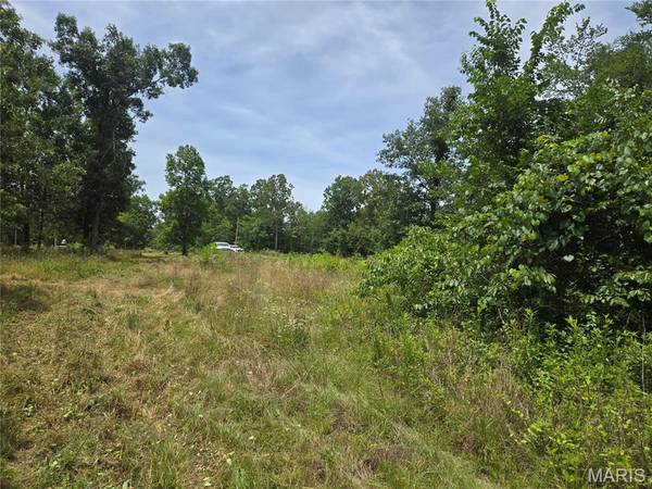 282 Ripley 142E-28A, Oxly, MO 63955