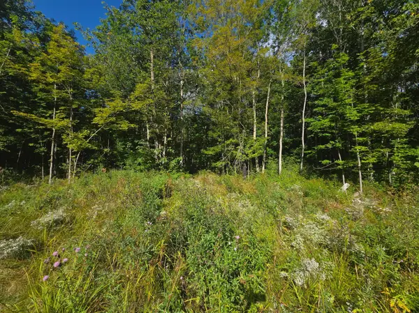 3329 Reuben Johnson RD, Kettle River, MN 55757