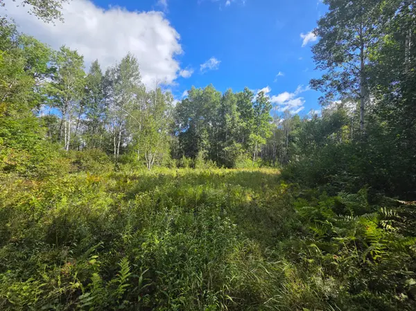 3329 Reuben Johnson RD, Kettle River, MN 55757