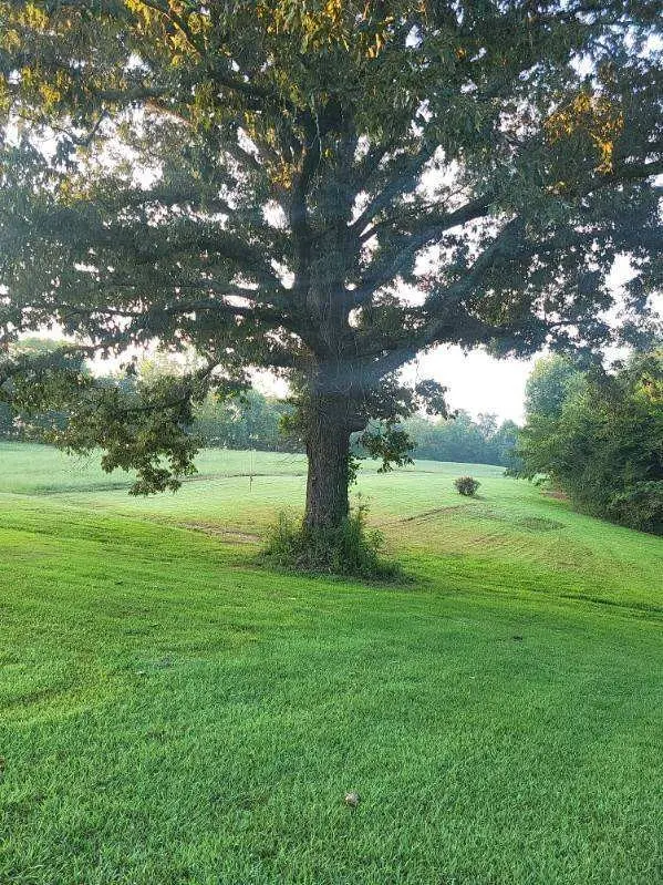 598 County Road 405, Madisonville, TN 37354