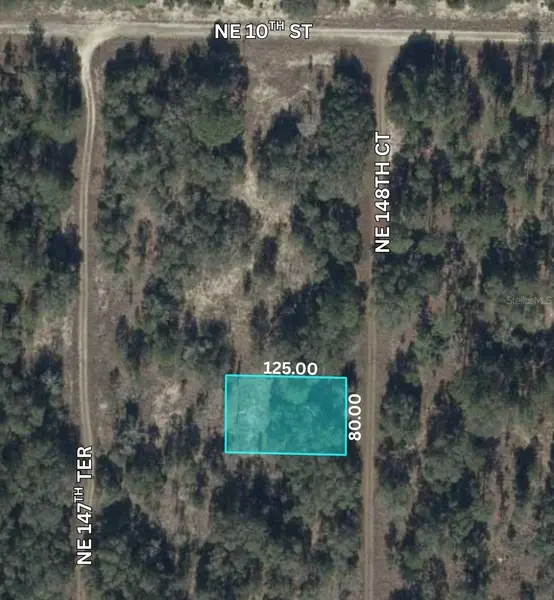 NE 148TH CT, Williston, FL 32696