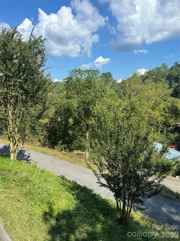 49 Ramsey RD, Marshall, NC 28753