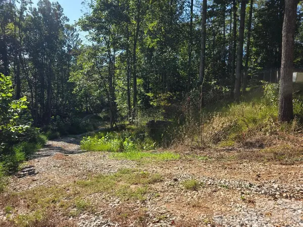 181 Poison Ivy DR, Burnsville, NC 28714