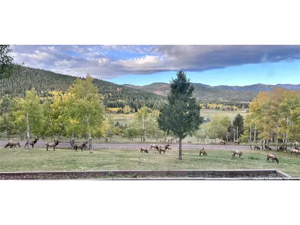 32042 Horseshoe, Evergreen, CO 80439