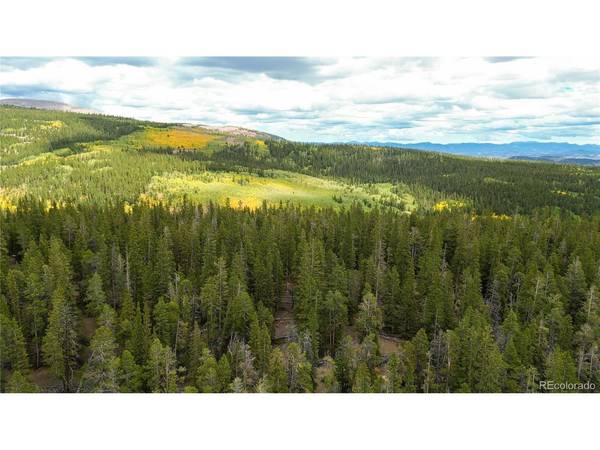 Ten High, Alma, CO 80420