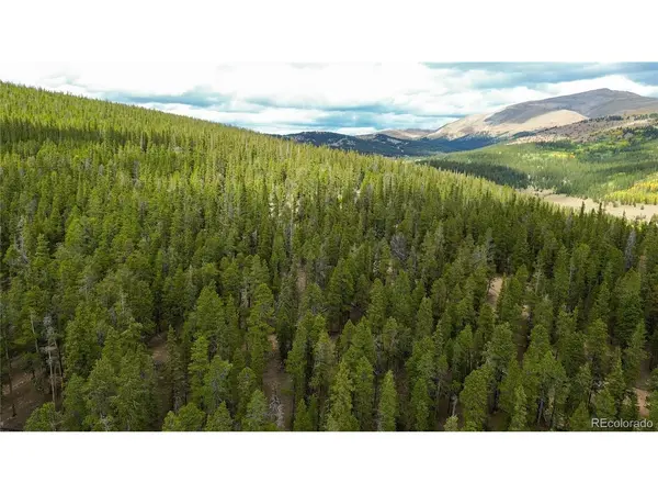 Ten High, Alma, CO 80420
