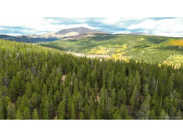 Ten High, Alma, CO 80420