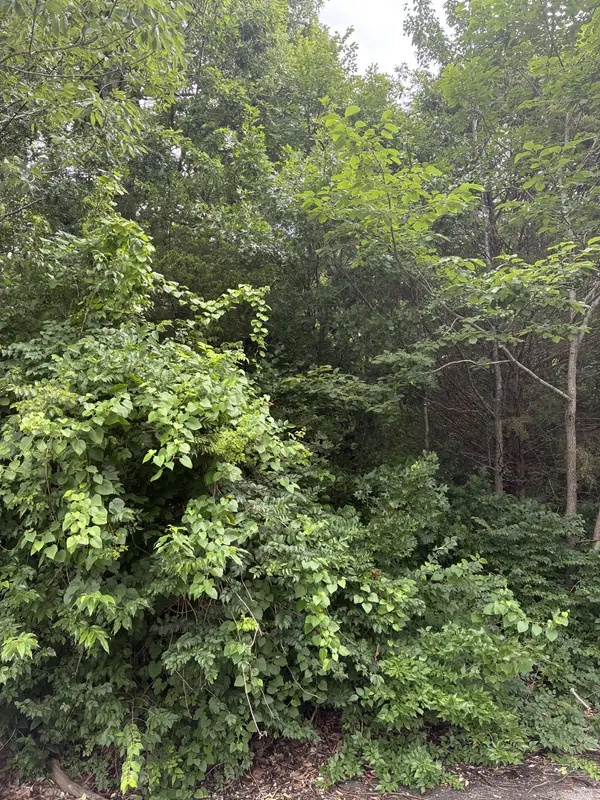 686 Putnam Dr, Nashville, TN 37218