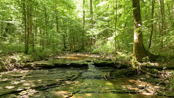 8218 Old Pond Creek Rd, Nashville, TN 37209