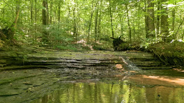 8218 Old Pond Creek Rd, Nashville, TN 37209