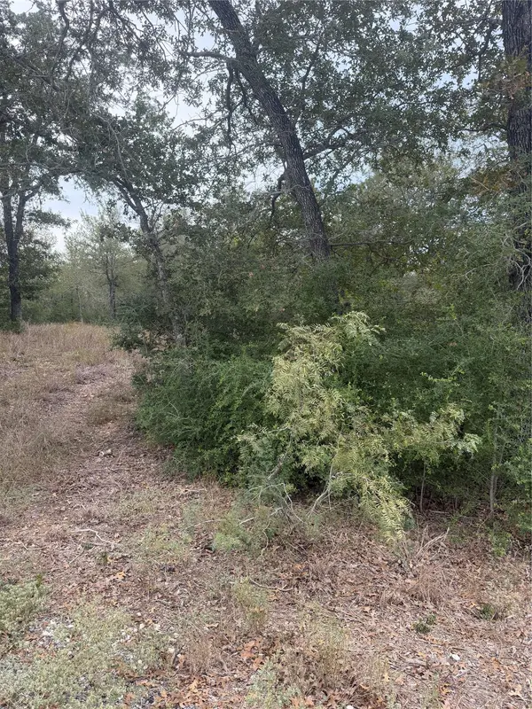 4 Lots Mokulua Mokuleia CIR, Bastrop, TX 78602