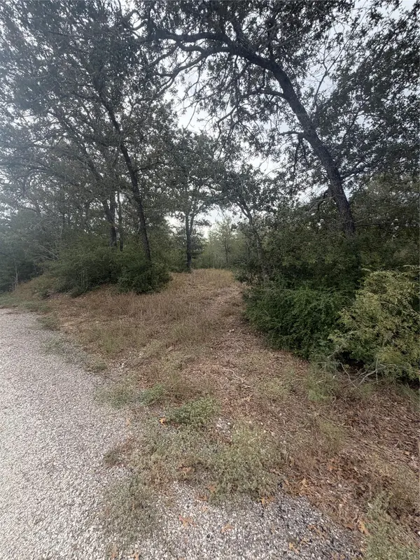 4 Lots Mokulua Mokuleia CIR, Bastrop, TX 78602