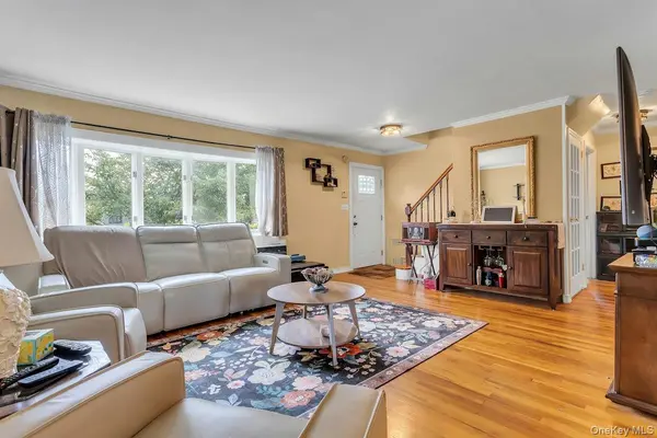 8 N Summit DR, Massapequa, NY 11758