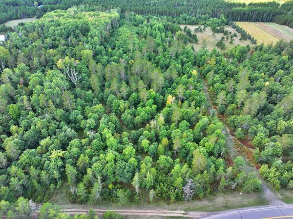 TBD County 119, Nevis, MN 56467