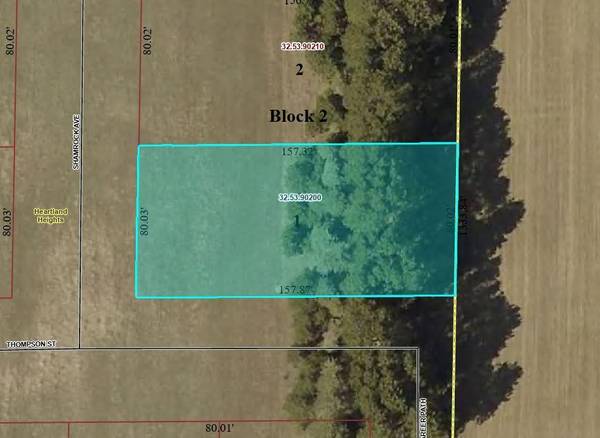 TBD Lot 1 Thompson St, Park Rapids, MN 56470