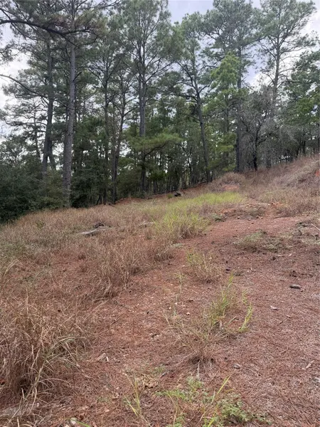 Lot 69 and 70 Taro CT, Bastrop, TX 78602