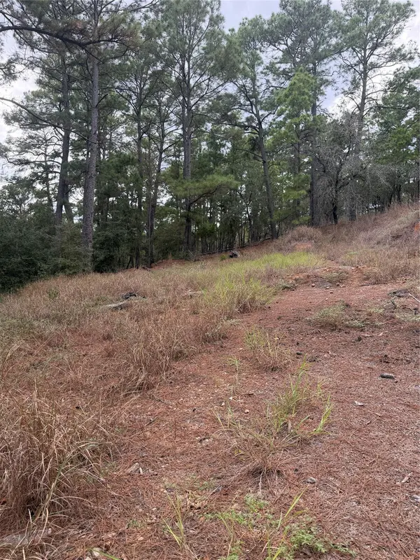 Lot 69 and 70 Taro CT, Bastrop, TX 78602