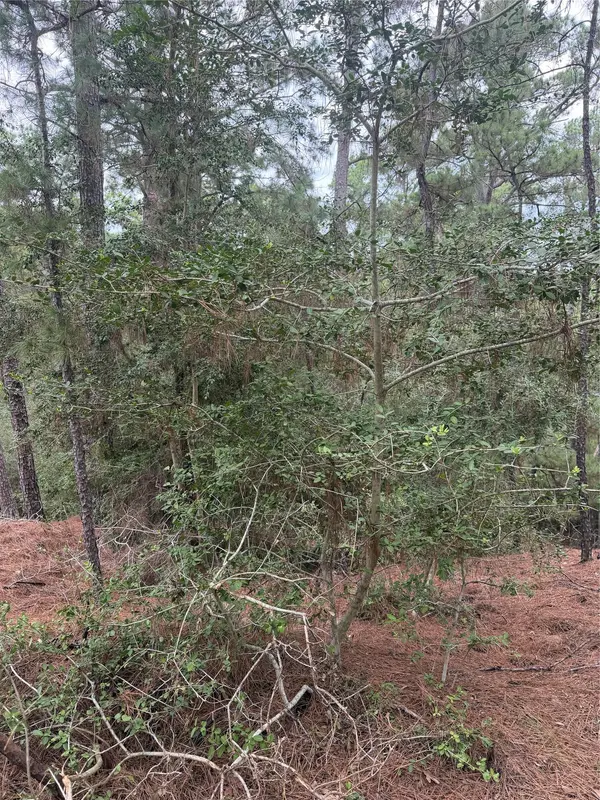 Lot 69 and 70 Taro CT, Bastrop, TX 78602