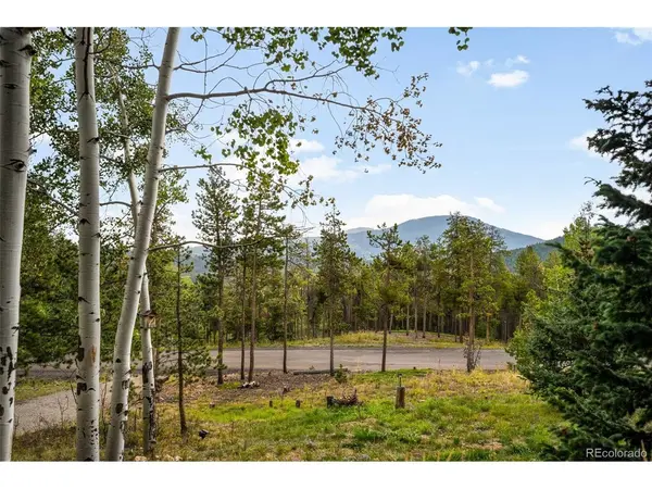 8511 S Warhawk, Conifer, CO 80433