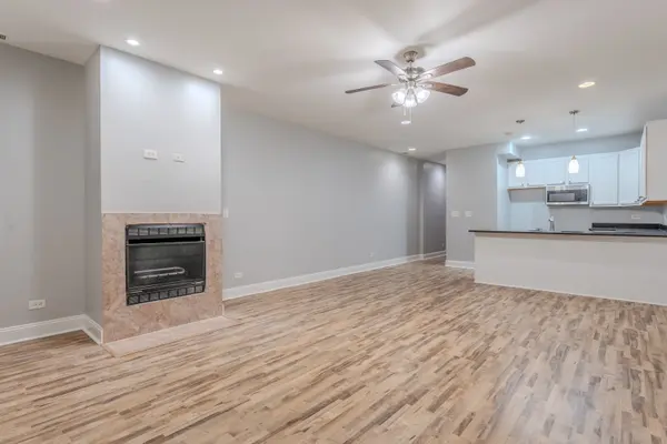 5408 S Michigan AVE #1N, Chicago, IL 60615