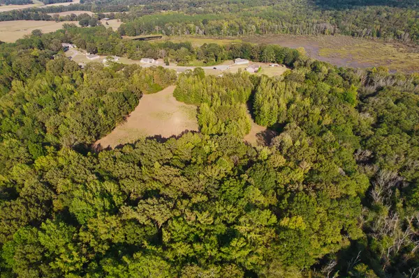 0 Cedar brook, Henderson, TN 38340