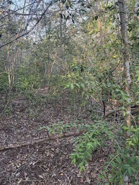 Lot 607 Waimanalo DR, Bastrop, TX 78602