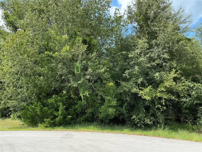 DOGWOOD TRAIL RUN, Ocala, FL 34472