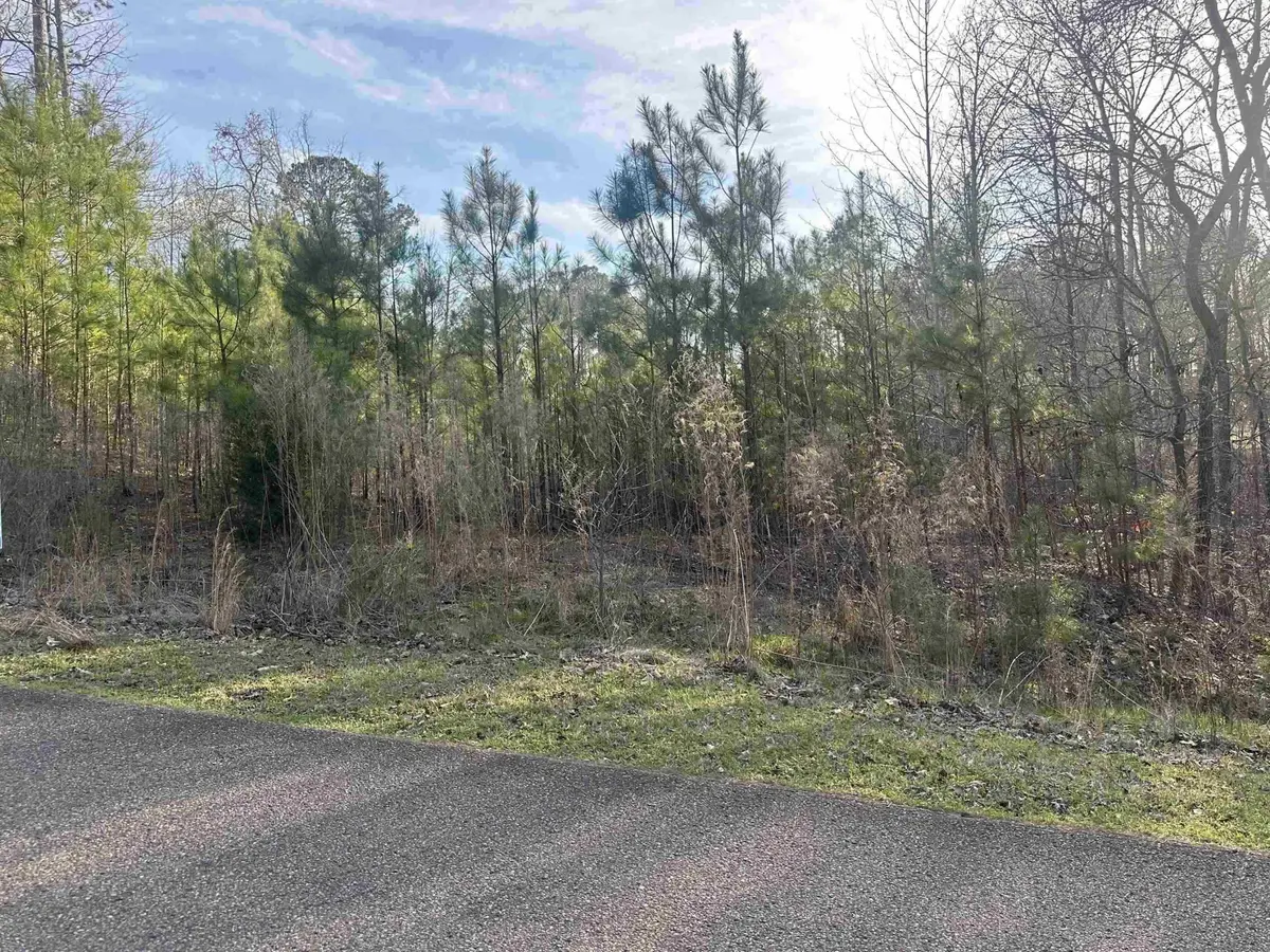 0 SHILOH FALLS COURT RD, Savannah, TN 38372