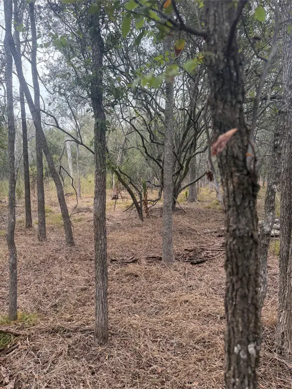 Lots 298, 300 and 54 Riverside and Kahana DR, Bastrop, TX 78602