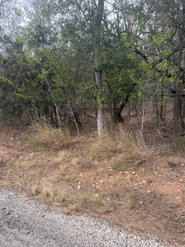 Lots 298, 300 and 54 Riverside and Kahana DR, Bastrop, TX 78602