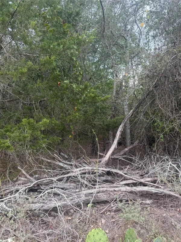 223 Mokulua LN, Bastrop, TX 78602