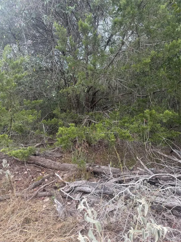 223 Mokulua LN, Bastrop, TX 78602