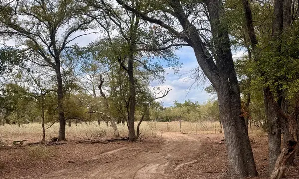 12 Acres Mt. Pleasant, Cedar Creek, TX 78612