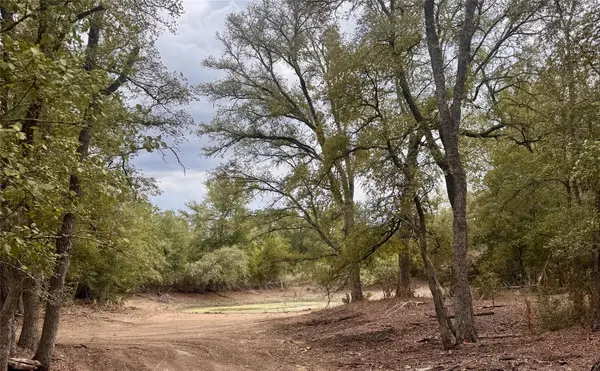 12 Acres Mt. Pleasant, Cedar Creek, TX 78612