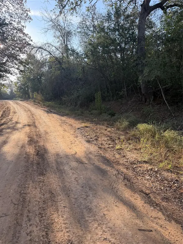 Lot 607 Waimanalo DR, Bastrop, TX 78602