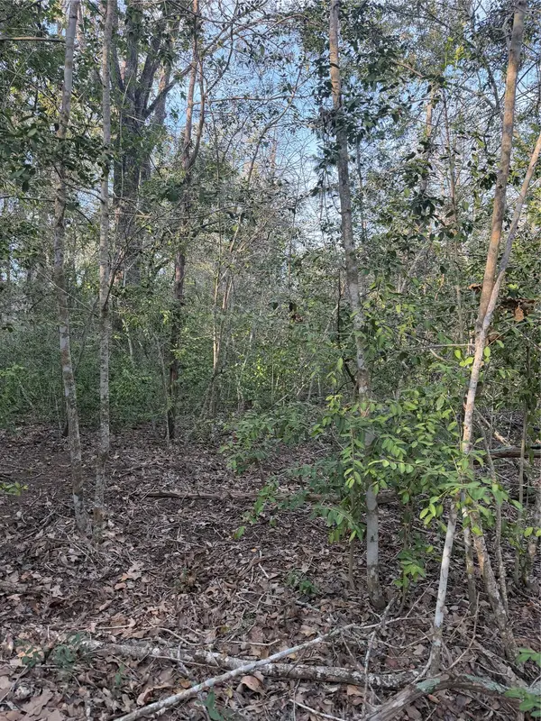 Lot 607 Waimanalo DR, Bastrop, TX 78602