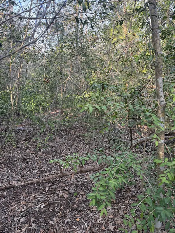 Lot 607 Waimanalo DR, Bastrop, TX 78602