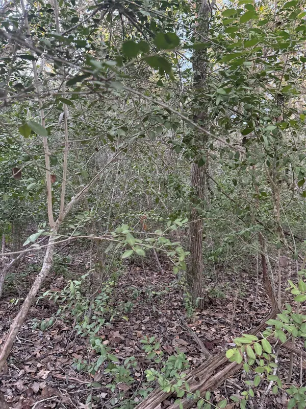 Lot 608 Waimanalo DR, Bastrop, TX 78602